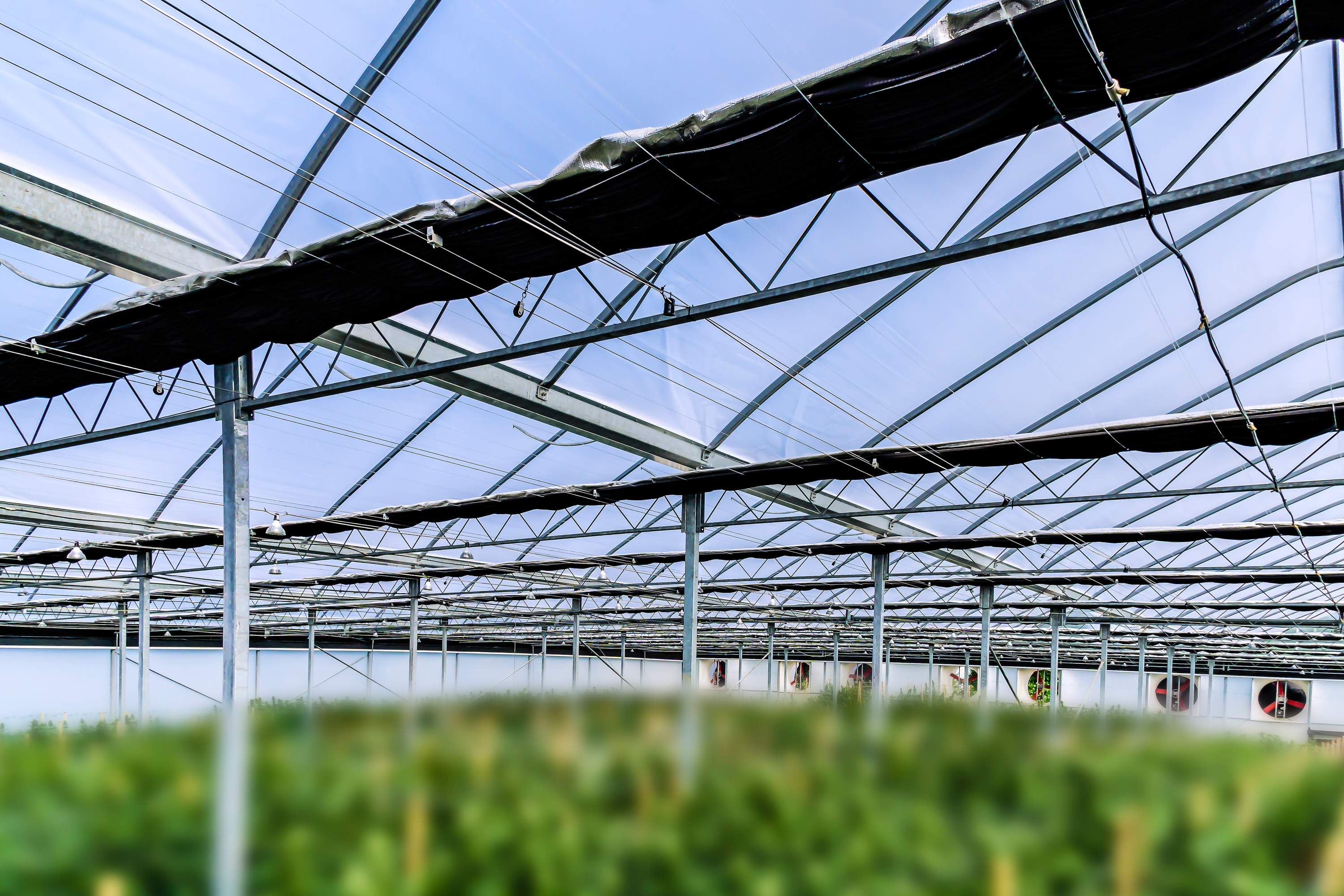 Greenhouse structure with film installed